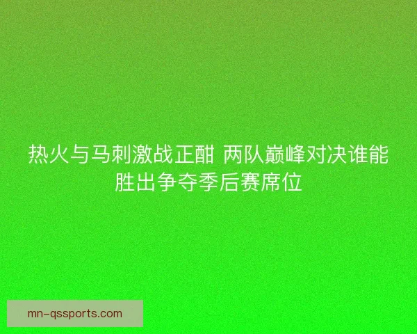 热火与马刺激战正酣 两队巅峰对决谁能胜出争夺季后赛席位