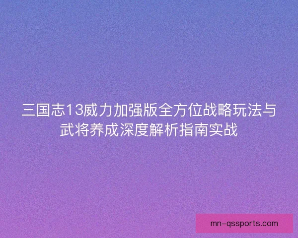 三国志13威力加强版全方位战略玩法与武将养成深度解析指南实战 三国志13威力加强版全方位战略玩法与武将养成深度解析指南实战