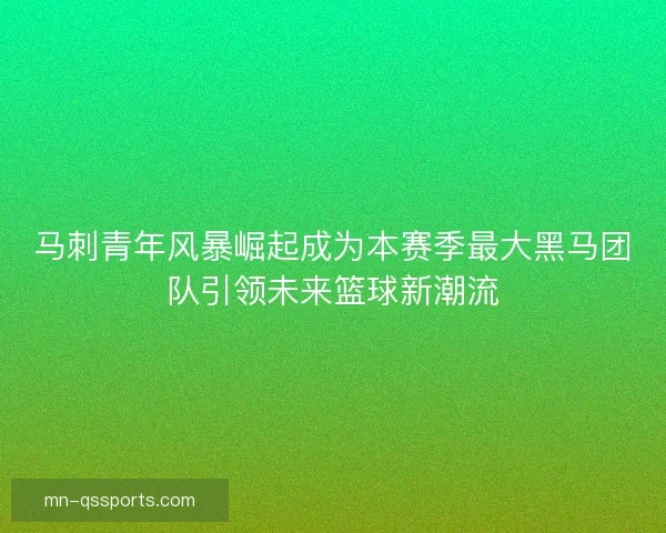 马刺青年风暴崛起成为本赛季最大黑马团队引领未来篮球新潮流