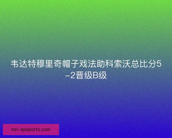韦达特穆里奇帽子戏法助科索沃总比分5-2晋级B级
